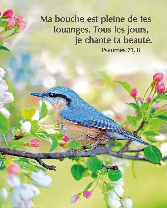 Poster oiseau sur une branche - "Ma bouche est pleine..." Psaume 71.8