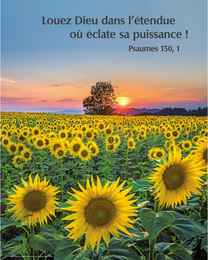 Poster champ de tournesols - "Louez Dieu dans l'étendue" Psaume 150.1