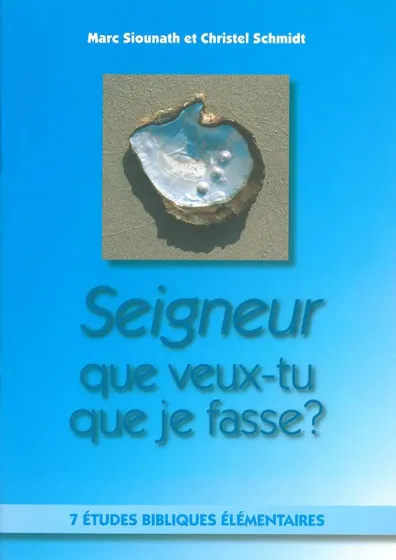 Seigneur que veux-tu que je fasse? - 7 études bibliques élémentaires - ePub