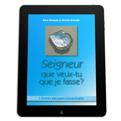 Seigneur que veux-tu que je fasse? - 7 études bibliques élémentaires - ebook
