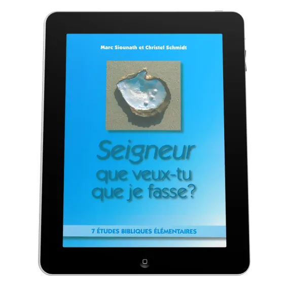 Seigneur que veux-tu que je fasse? - 7 études bibliques élémentaires - ePub