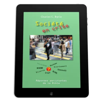 Société en crise - Ebook