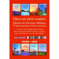 Dieu est mon soutien - Boîte de 100 mini-cartes avec versets