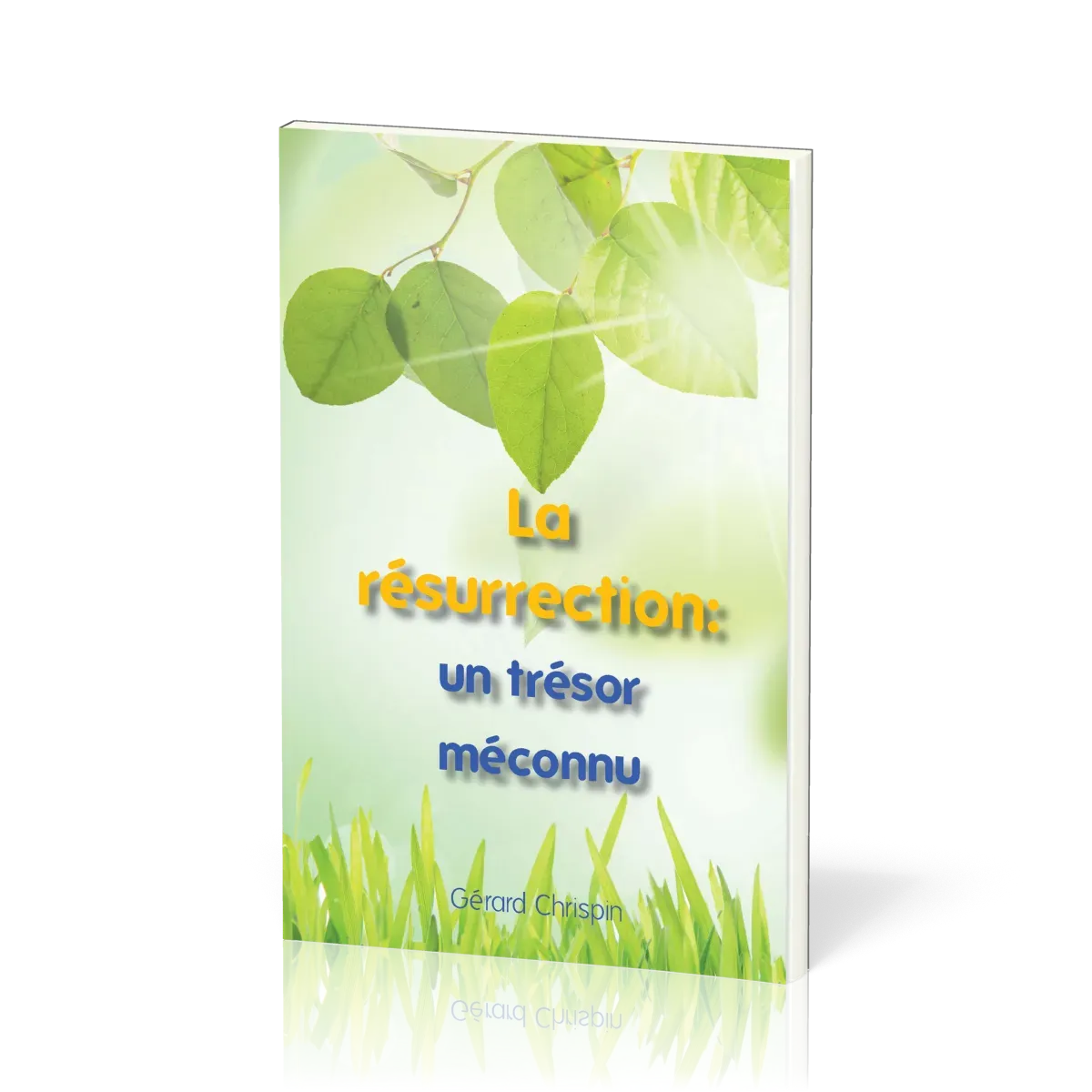 Résurrection - Un trésor méconnu (la)