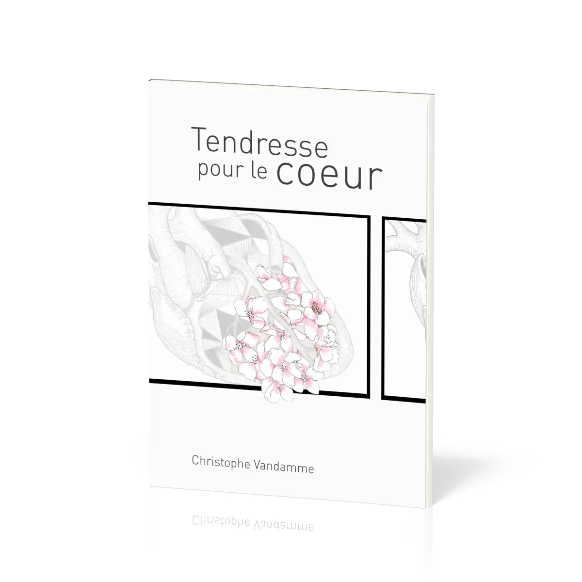 Tendresse pour le coeur