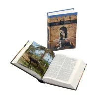 Englisch, Bibel King James Version,kartonniert, illlustrierter Einband, kleines Format