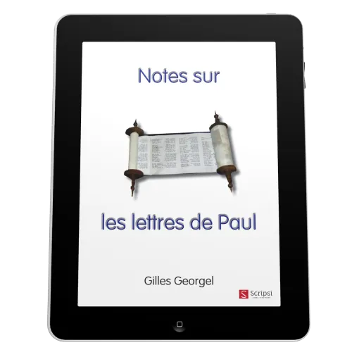 Notes sur les lettres de Paul - EBOOK