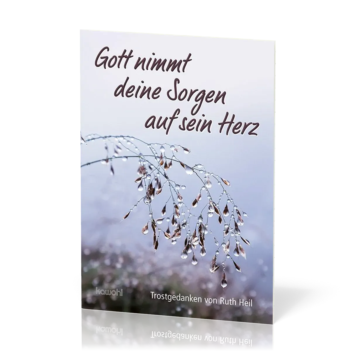 Gott nimmt deine Sorgen auf sein Herz - Maxi - Grussheft