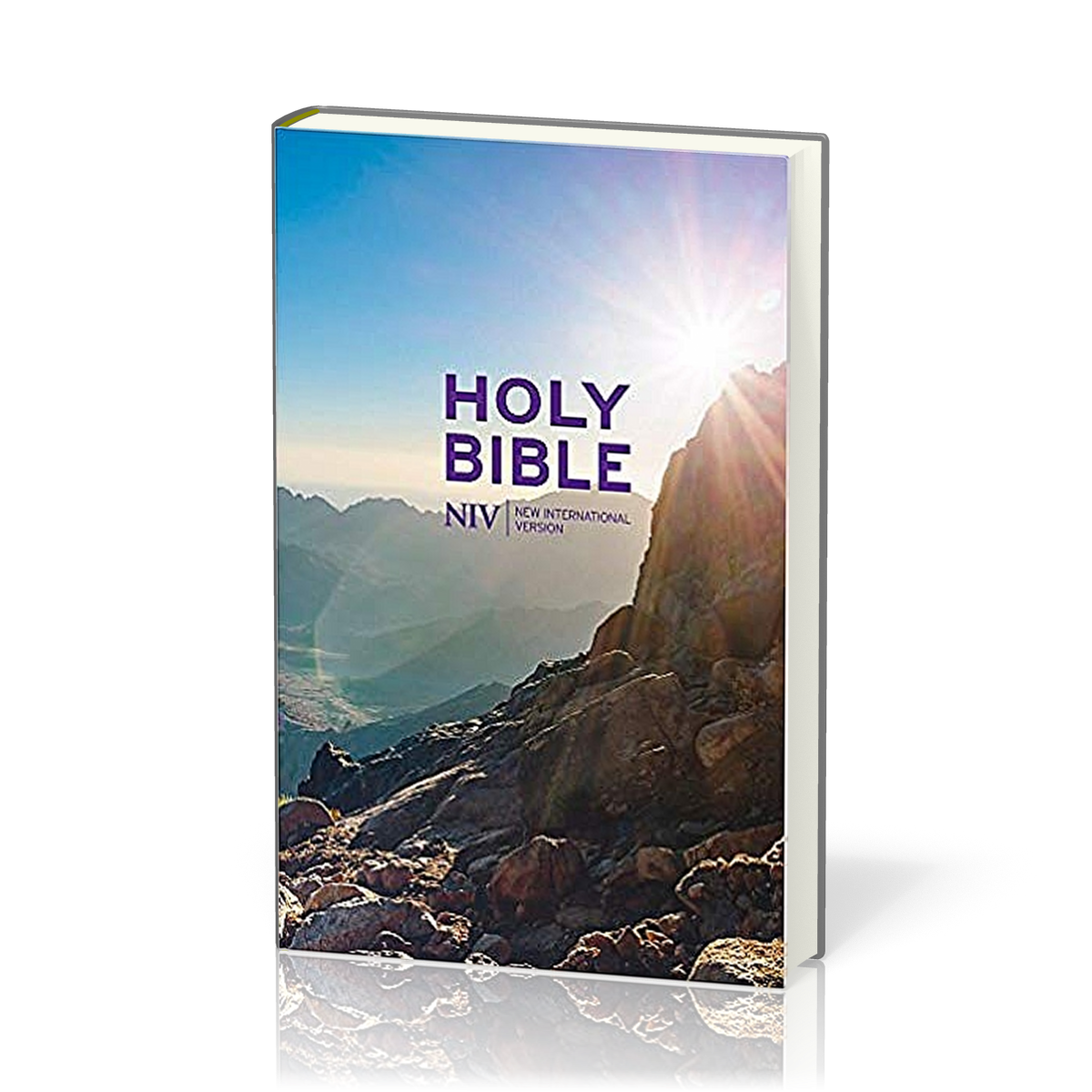 Englisch, Bibel, NIV Thinline Value Hardback Bible - [New International Version]