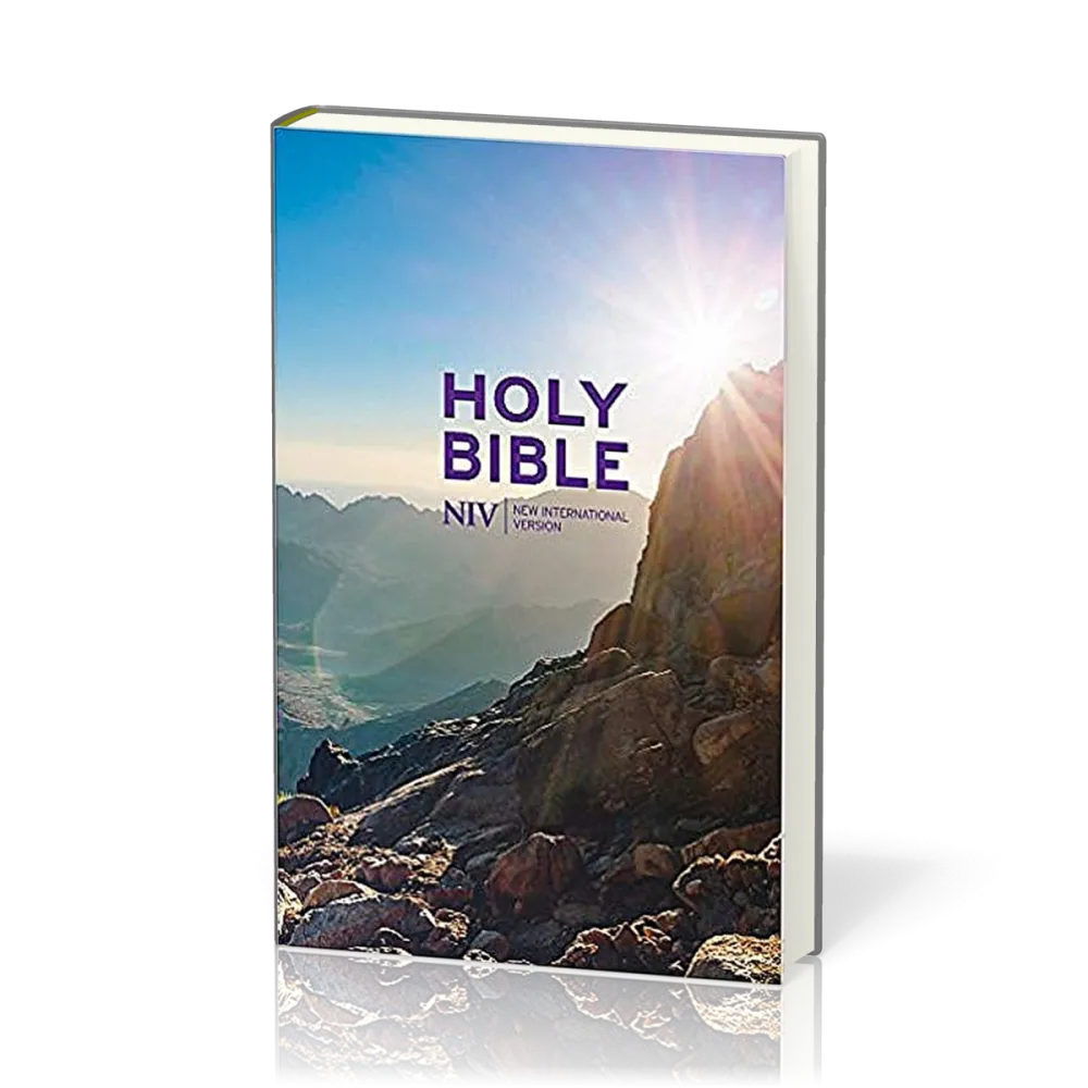 Englisch, Bibel New International Version, kartonniert, illustrierter Einband