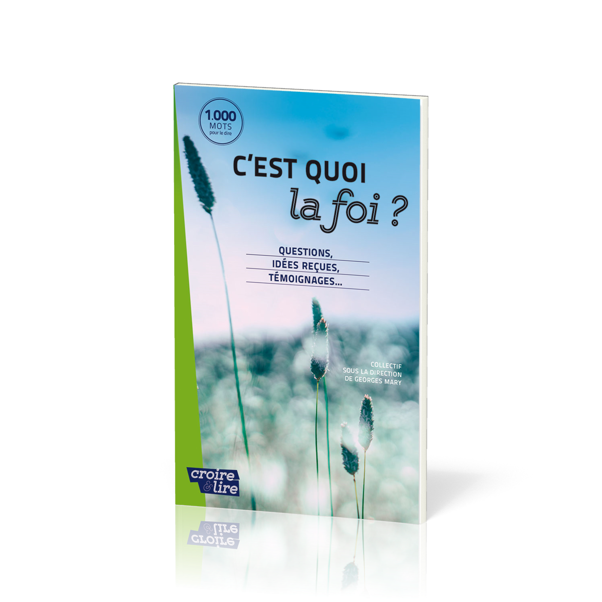 C’est quoi la foi ? Questions, idées reçues, témoignages… Mary