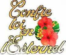 Bois, Confie toi en l'Éternel (Hibiscus rose)