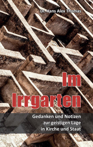 Im Irrgarten - Gedanken und Notizen zur geistigen Lage in Kirche und Staat