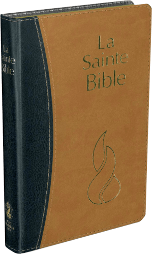 Bible Segond NEG, compacte, duo ocre-marine - couverture souple, vivella, tranche or 