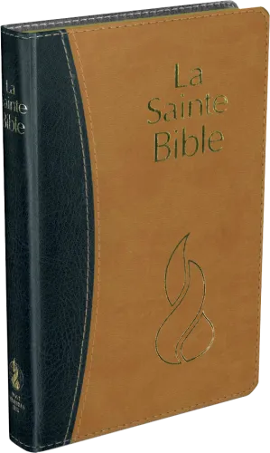 Bible Segond NEG, compacte, duo ocre-marine - couverture souple, vivella, tranche or 