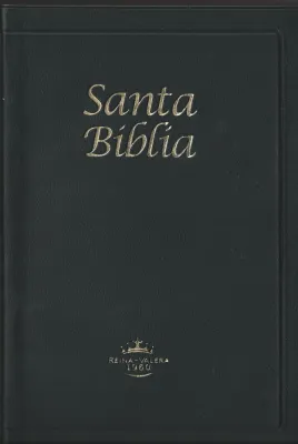 Espagnol,Bible,Reina Valera 1960 -  Regalos y Premios Negro Tapa Dura