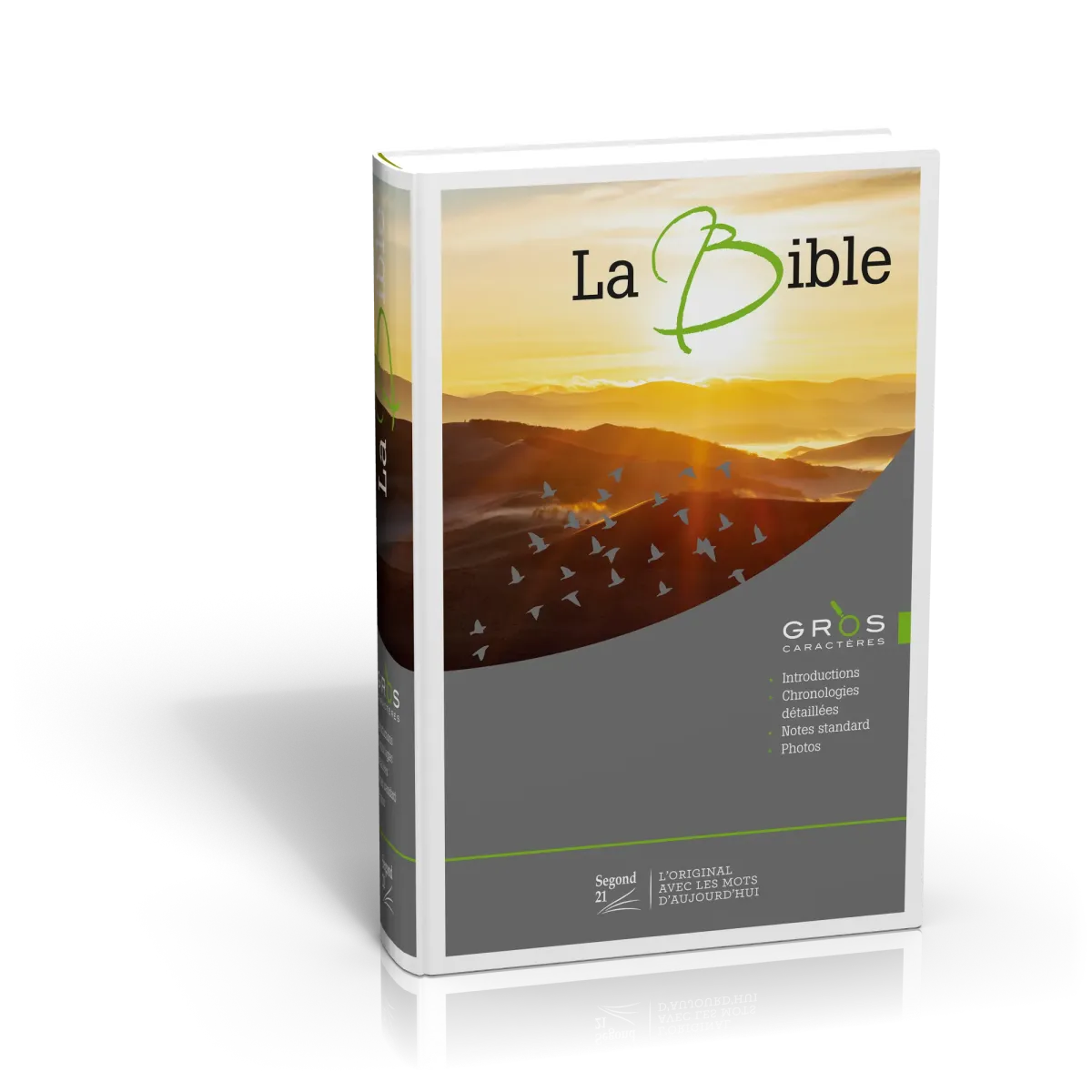 BIBEL SEGOND 21, GROSSDRUCK, ILLUSTRIERT