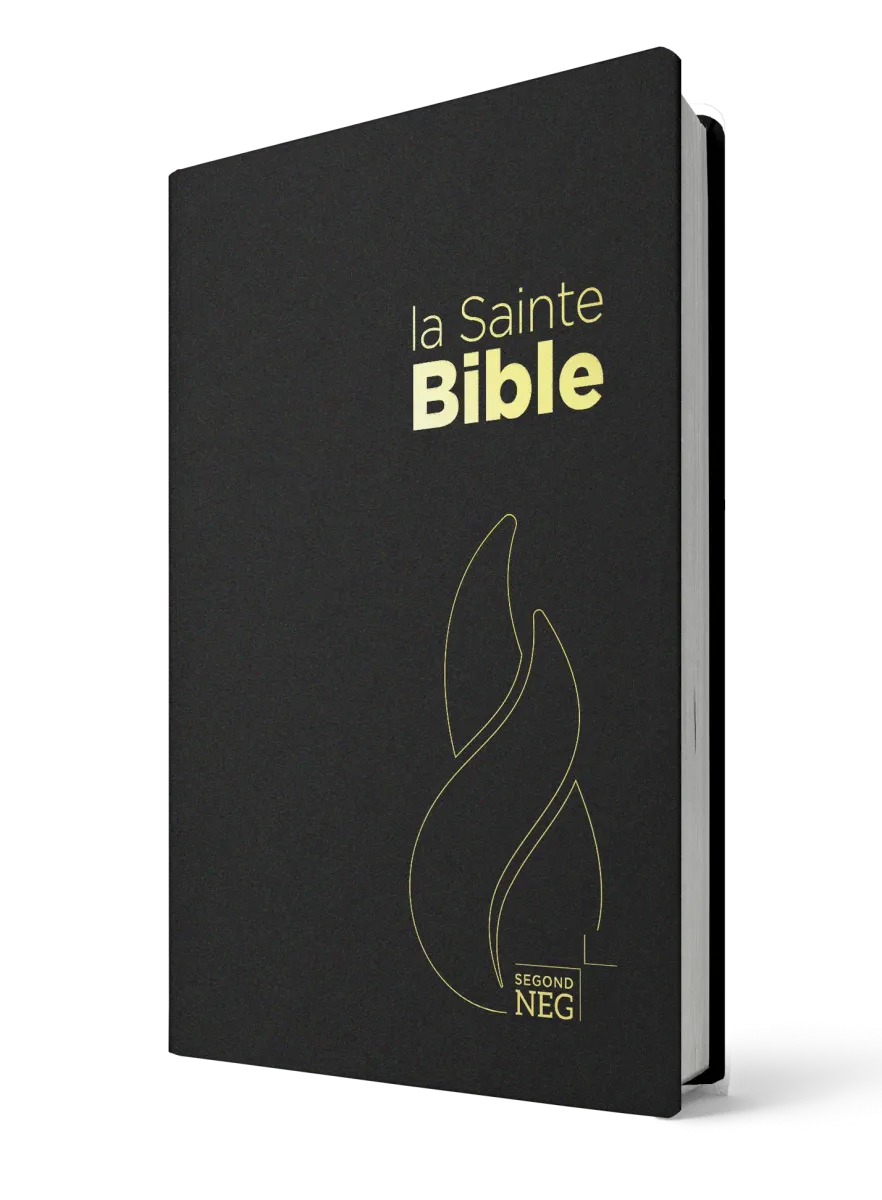 BIBEL NEG, KOMPAKT, PLASTIK, SCHWARZ