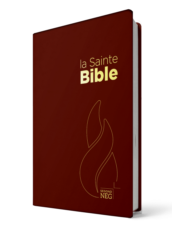 Couverture Biblique Florale Pour Femmes - Poches Multiples, Signet Inclus - Noir - 7