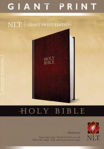 Anglais, Bible NLT, gros caractères - reliée rigide, bordeaux