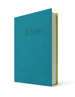 Bibel Segond 21, französisch - Softcover Vivella grün