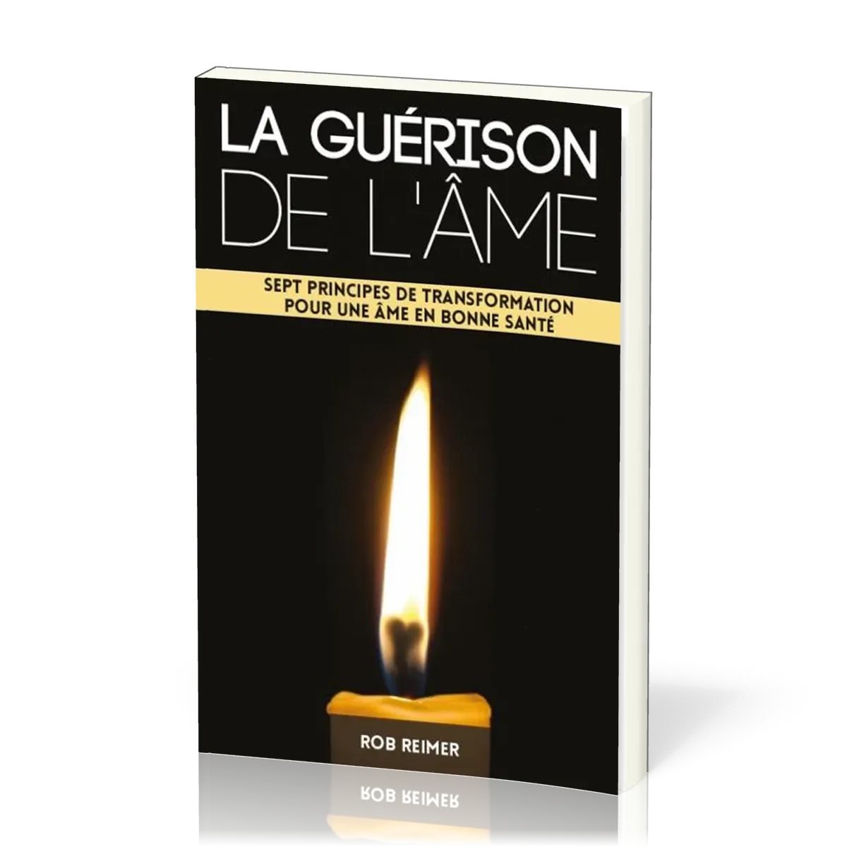 Guérison de l'âme (La) - Sept principes de transformation pour une âme en bonne santé