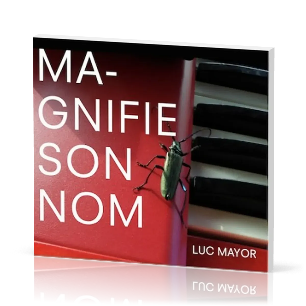 Magnifie son nom [CD]