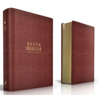 Espagnol, Bible RVR 1960, format portable, gros caractères, similicuir café - Biblia Reina Valera 1960 letra grande portátil i/p