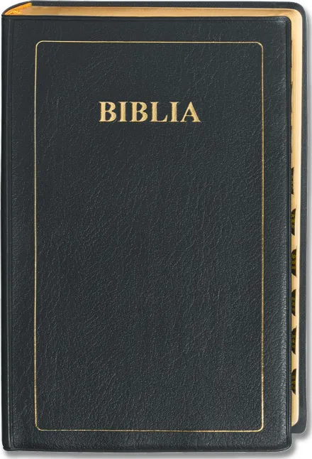 Suaheli, Bibel, gebunden, biegsam, schwarz, rotschnitt - Traditionelle Übersetzung