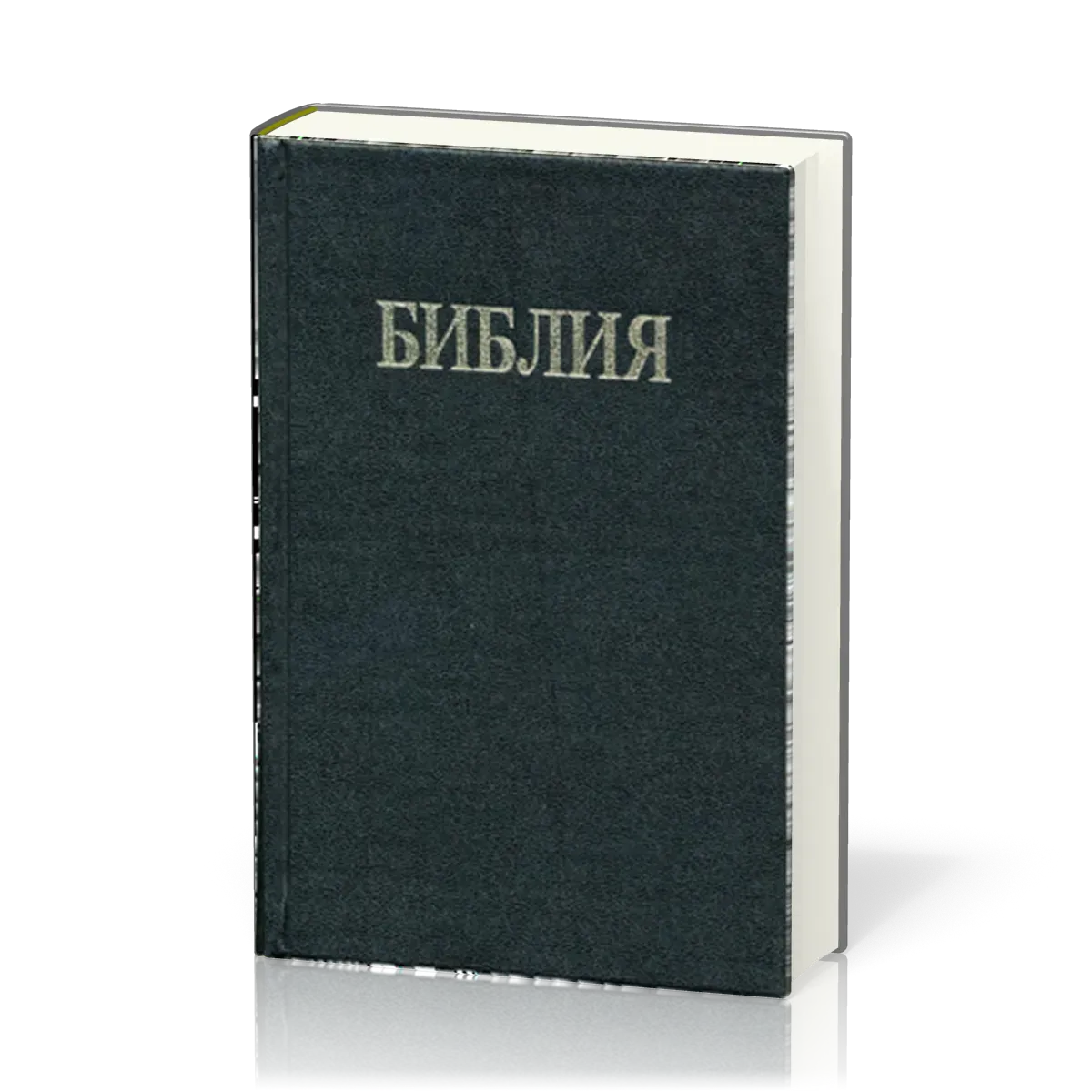 Bulgarisch, Bibel, Gebunden, Schwarz