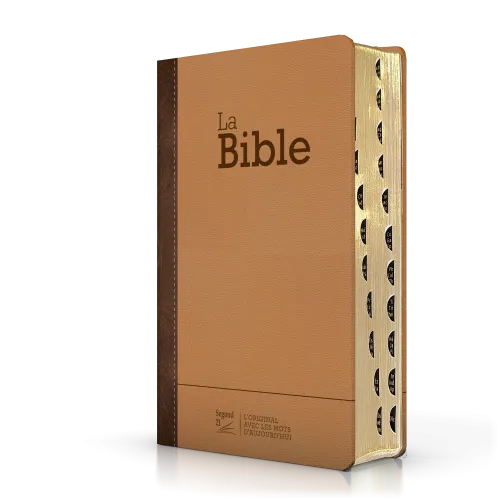 Bible Segond 21 compacte (Premium Style) - couverture semi-rigide duo cuir praliné-chocolat, avec...