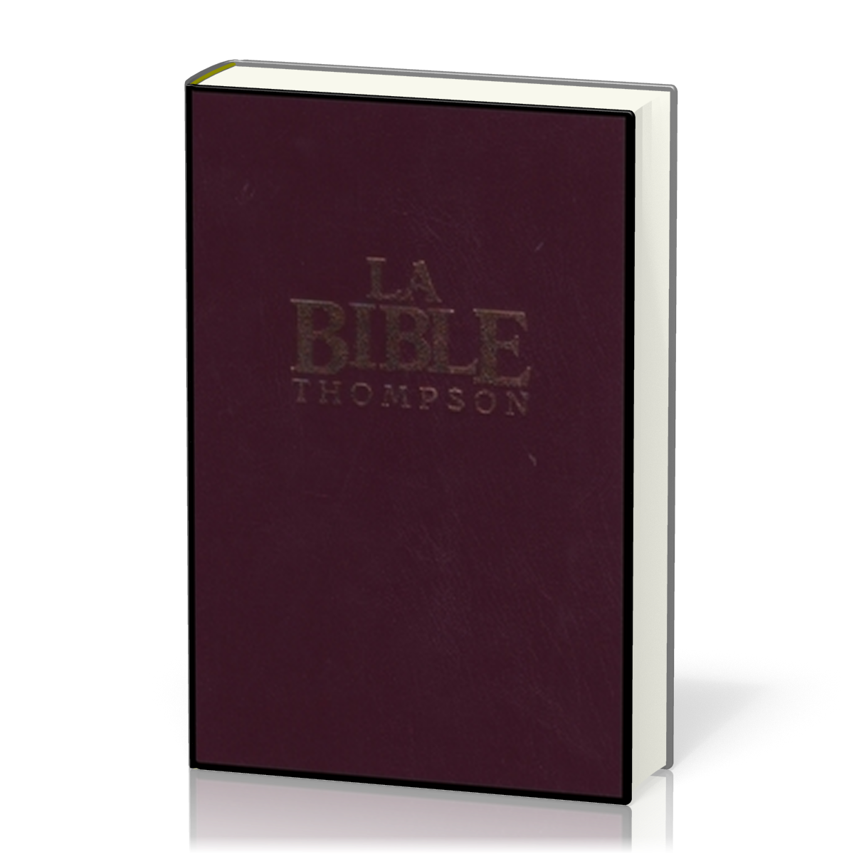 FRANZÖSISCHE BIBEL COLOMBE THOMPSON, GEBUNDEN, DUNKELROT