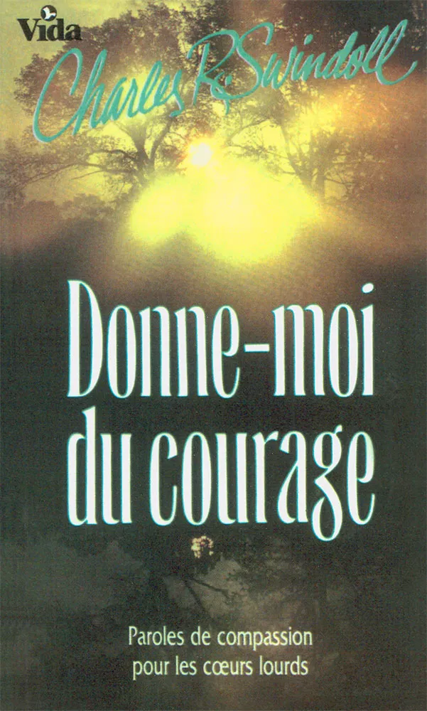Donne-moi du courage - Paroles de compassion pour les cœurs lourds