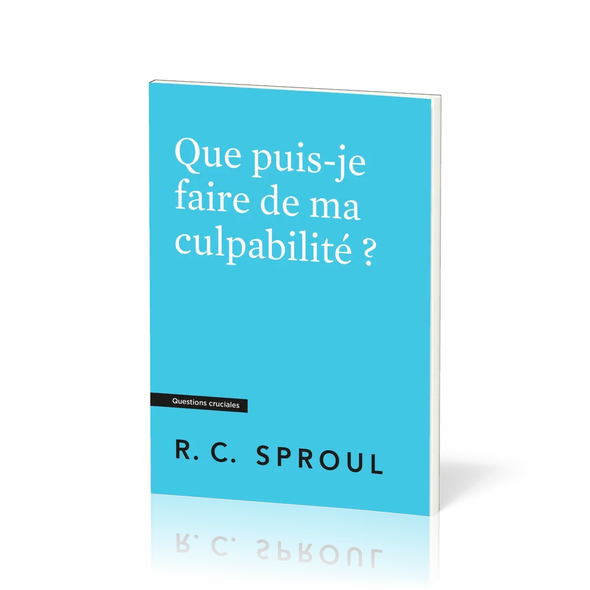 Que puis-je faire de ma culpabilité ? - [Questions cruciales]