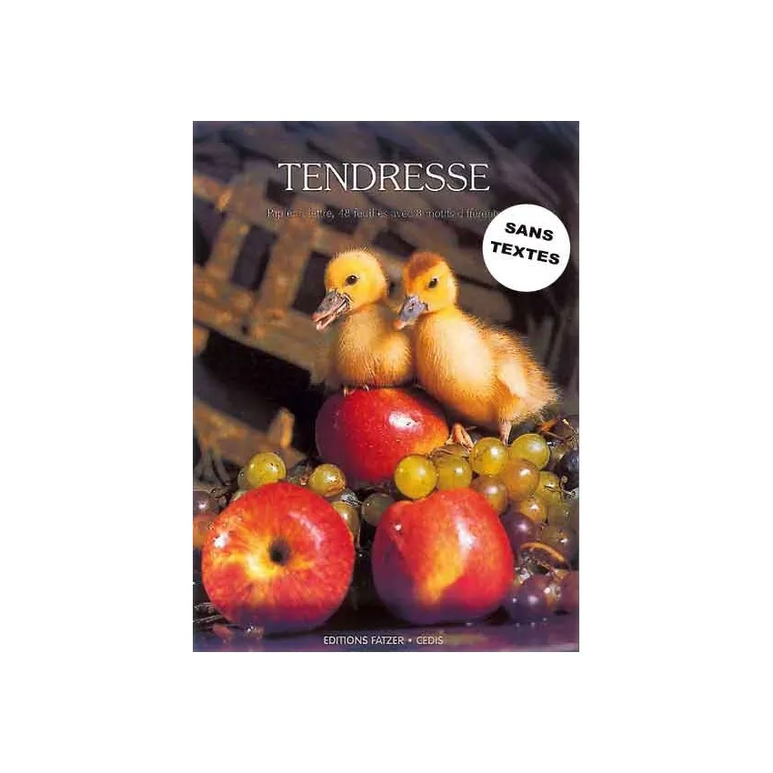 PAPIER A LETTRE TENDRESSE SANS TEXTE