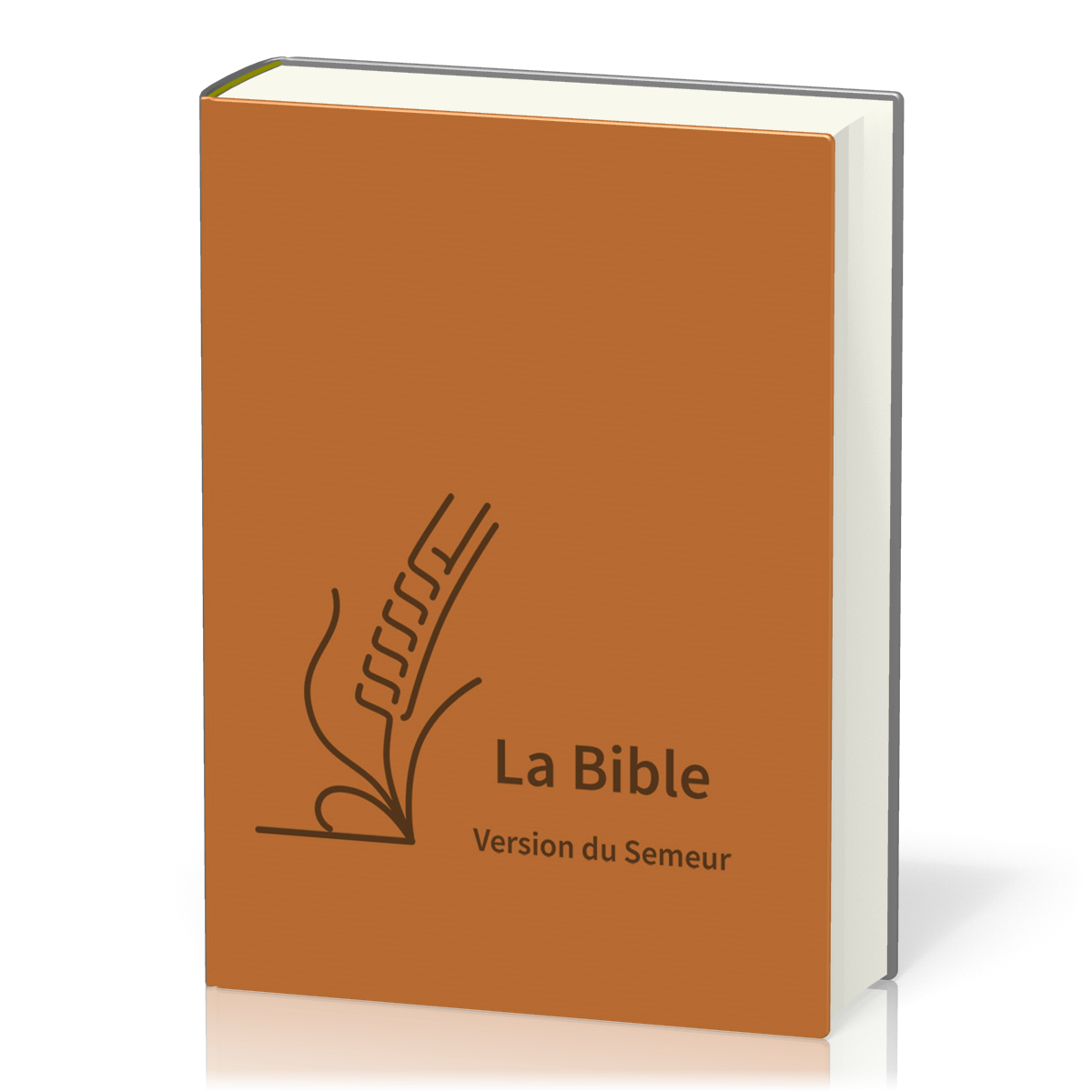 Bible Semeur 2015, Gros Caractères - Couverture Semi-souple, Textile Brun