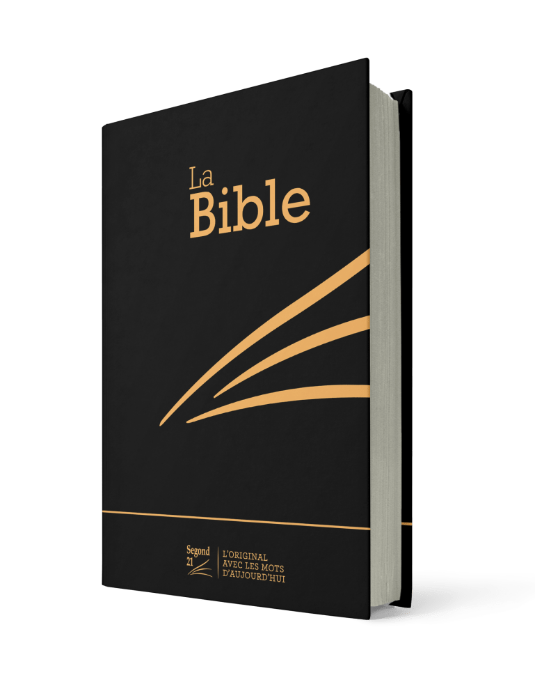 Bibel Segond 21 französisch - Hardcover Skivertex schwarz