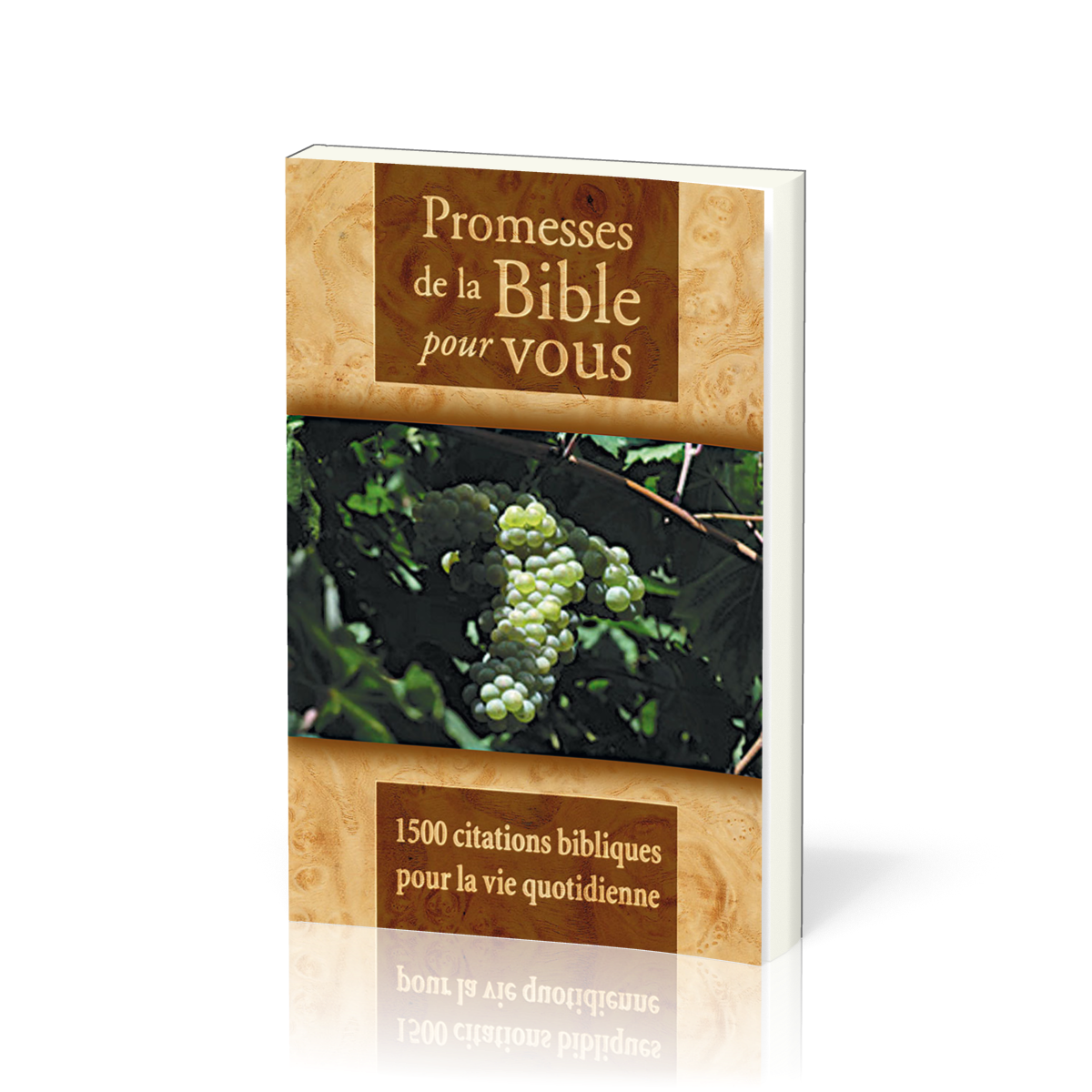 Promesses De La Bible Pour Vous 1500 Citations Bibliques Pour La Vie Quotidienne