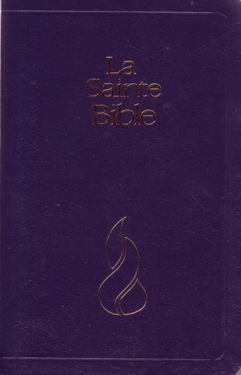 Bible Segond NEG, compacte, marine - couverture souple, fibrocuir, tranche or