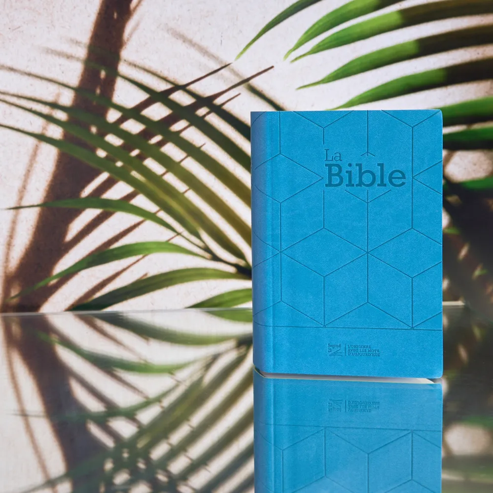 Bibel Segond 21, französisch - Softcover Vivella grün