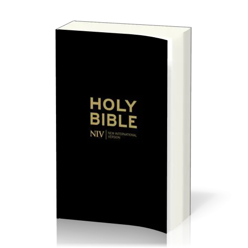 Englisch, Bibel New International Version, Gift & Award