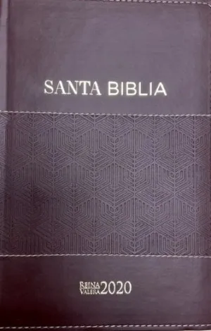 Spanisch, Bibel Reina Valera 2020, Kunstleder, braun mit goldenen Ziernähten, Goldschnitt