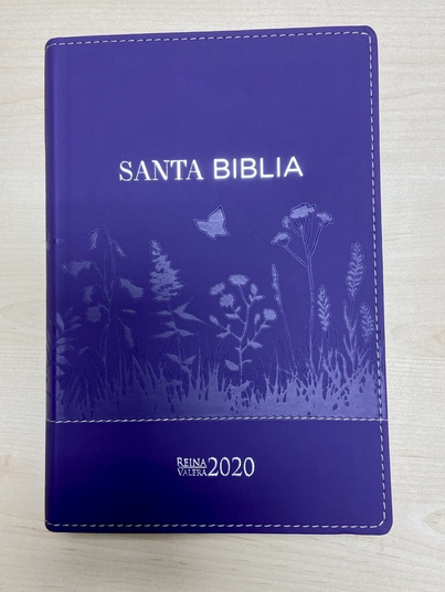Spanisch, Bibel Rreina Valera 2020, Kunstleder, lila mit Feldgras-Motive, Grossschrift, Goldschnitt