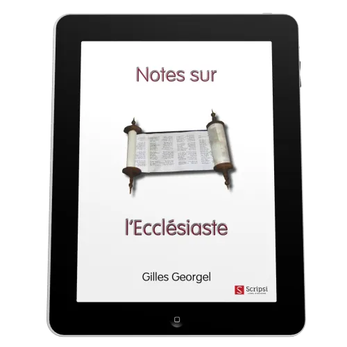 Notes sur l'Ecclésiaste - EBOOK