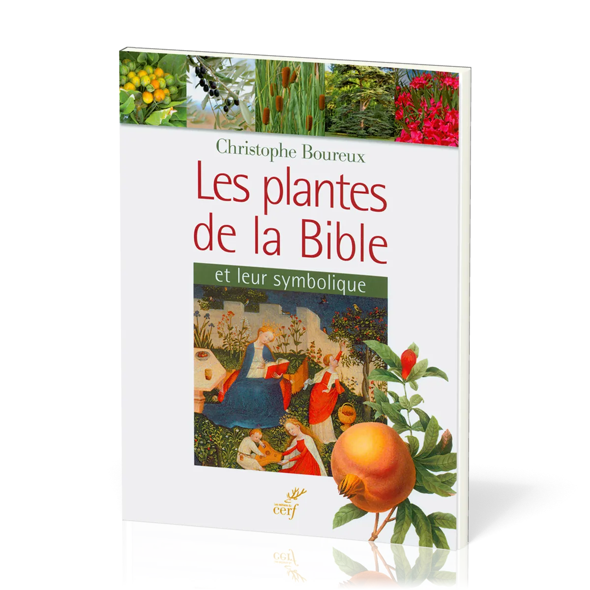 Plantes de la Bible et leur symbolique (Les)
