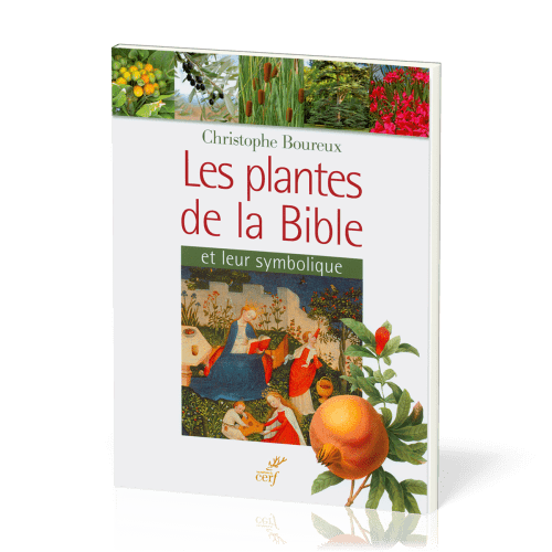 Plantes de la Bible et leur symbolique (Les)