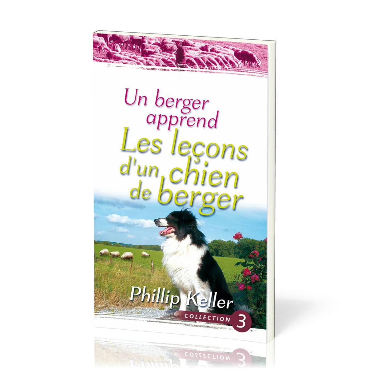 Un berger apprend - Les leçons d'un chien de berger