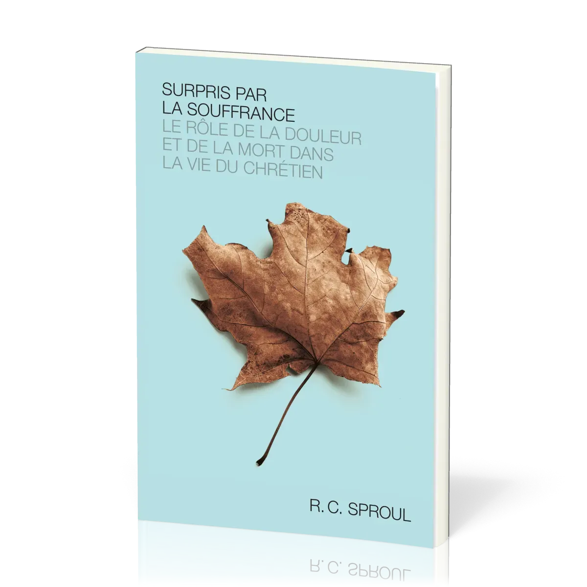 Surpris par la souffrance - Le rôle de la douleur et de la mort dans la vie du chrétien