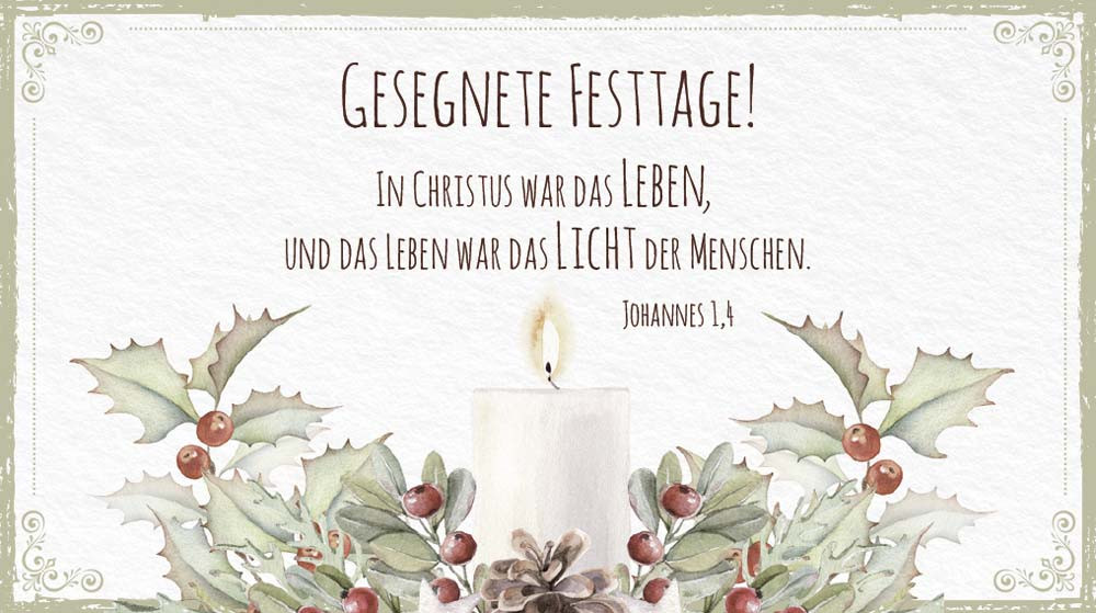 Schokolade Weihnachten Ilex