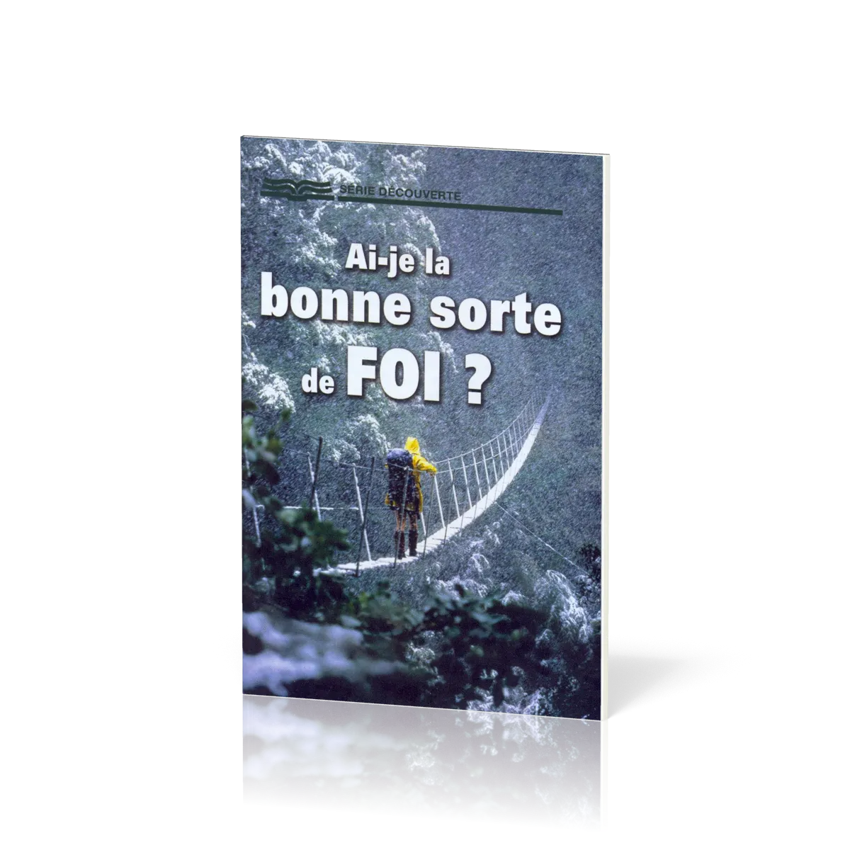 Ai-je la bonne sorte de foi?  - [Série Découverte]